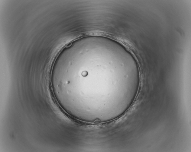 X0000113020049200909101845