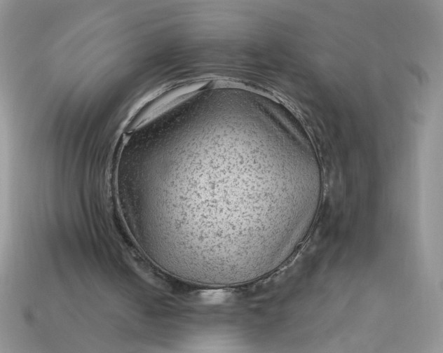 X0000113020050200909101846