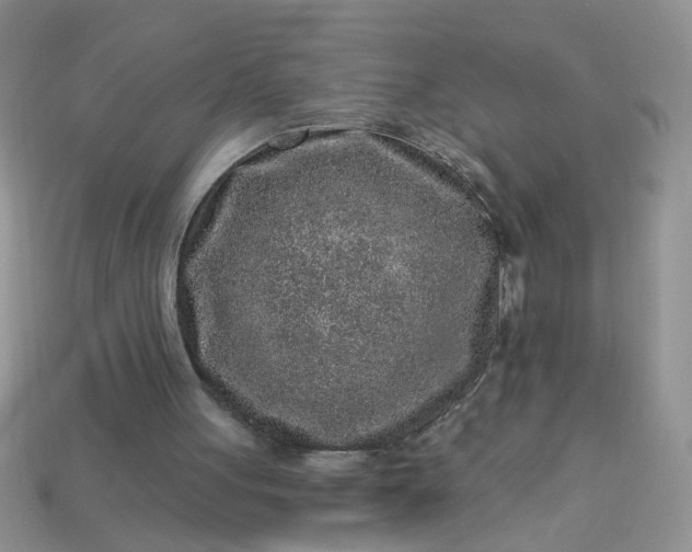 X0000113020051200909101846