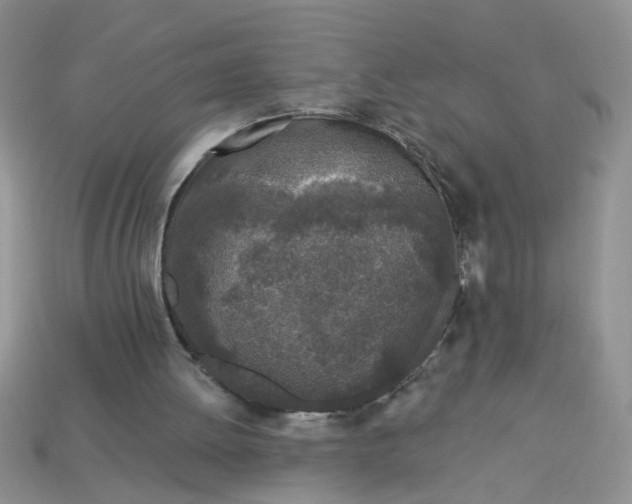 X0000113020052200909101846