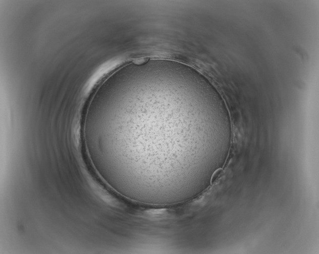 X0000113020054200909101846