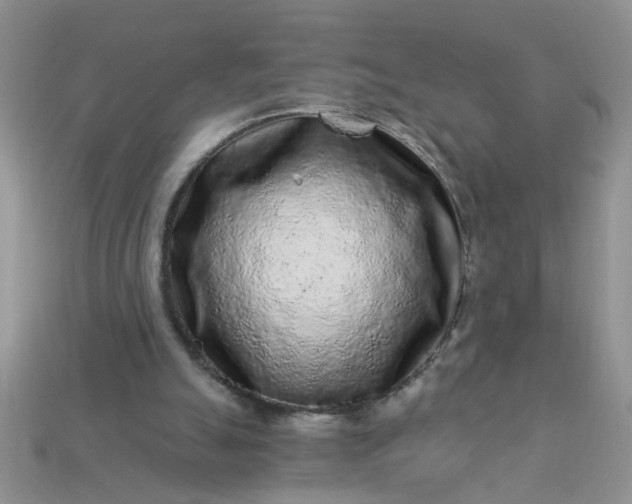 X0000113020055200909101846