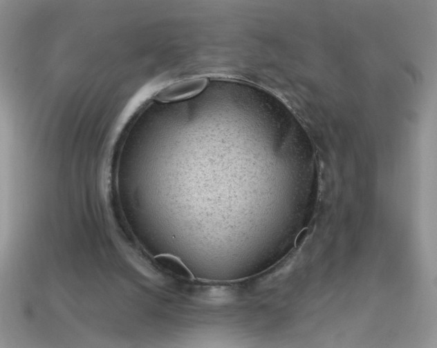 X0000113020056200909101846