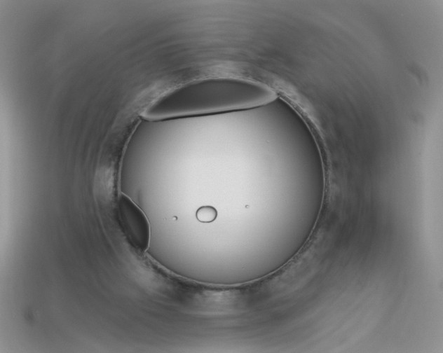 X0000113020057200909101846