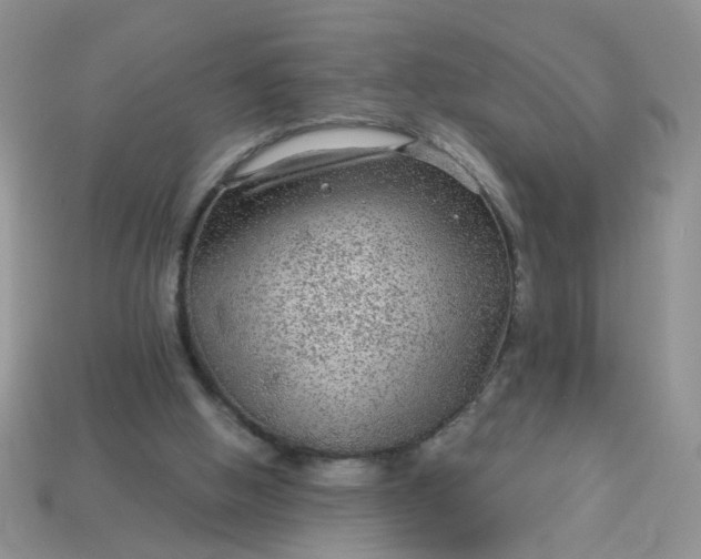 X0000113020058200909101846