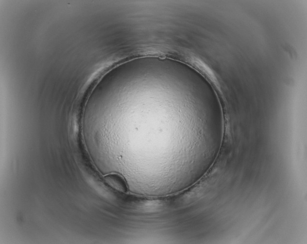 X0000113020059200909101846