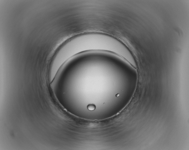 X0000113020060200909101846