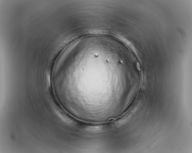 X0000113020061200909101846