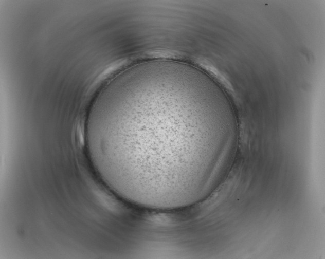 X0000113020062200909101846