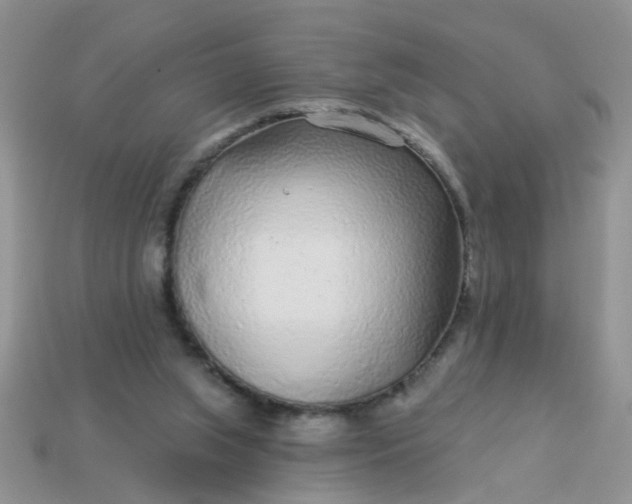 X0000113020063200909101846