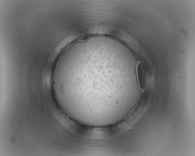 X0000113020064200909101846