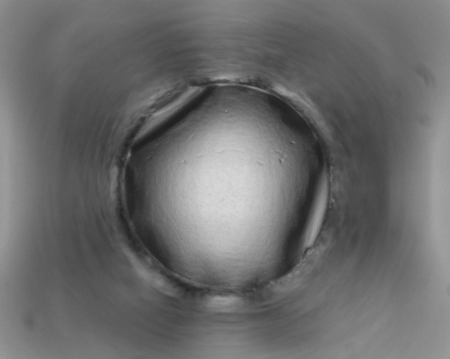 X0000113020066200909101846