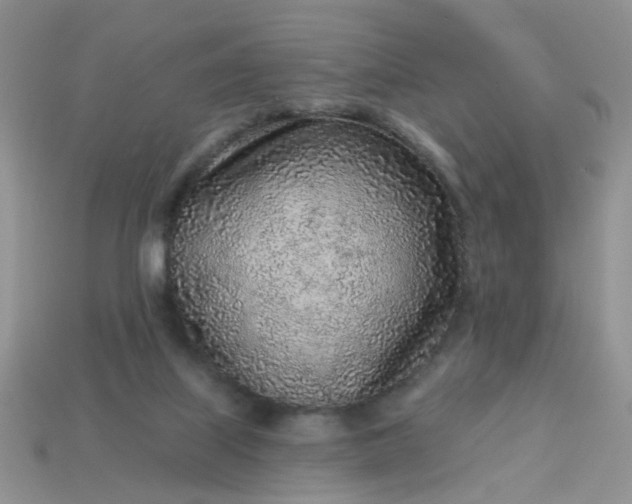 X0000113020067200909101846