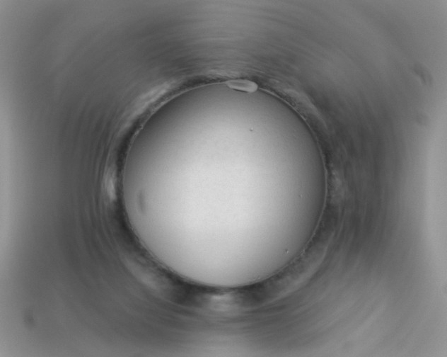 X0000113020068200909101846