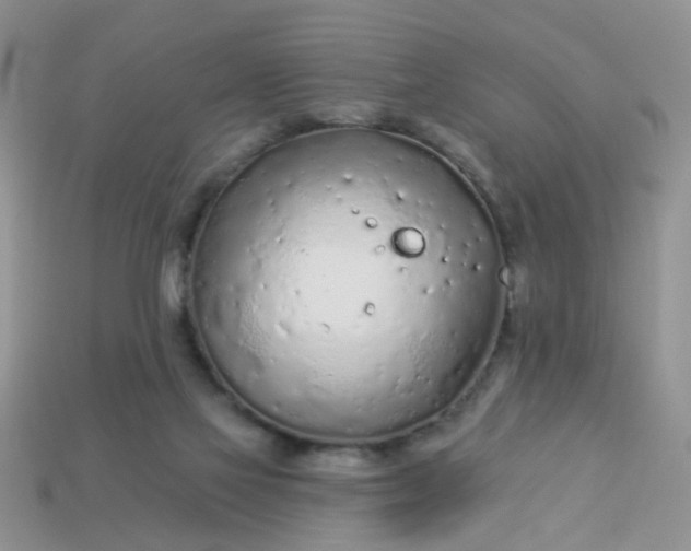 X0000113020069200909101846