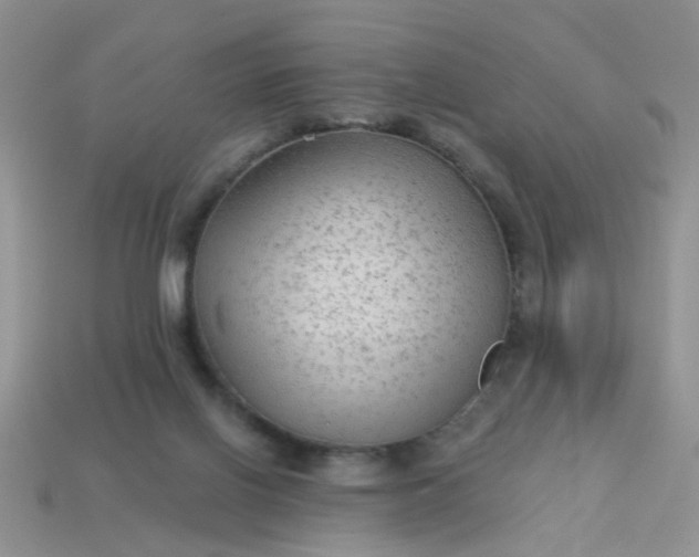 X0000113020070200909101846