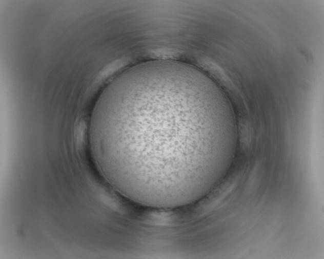 X0000113020071200909101846