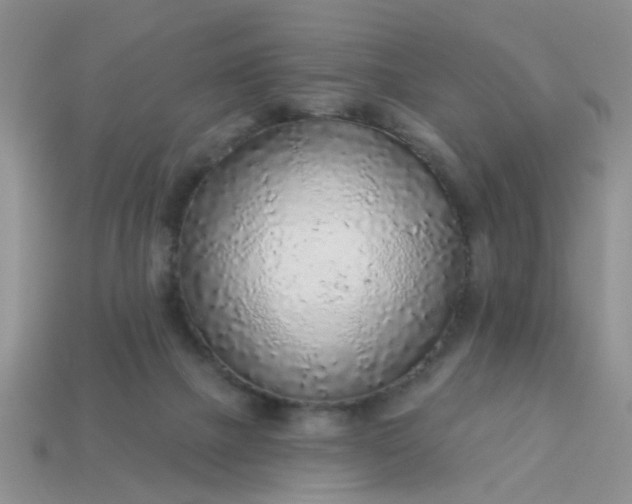 X0000113020073200909101846