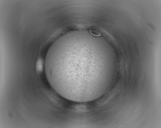 X0000113020075200909101846