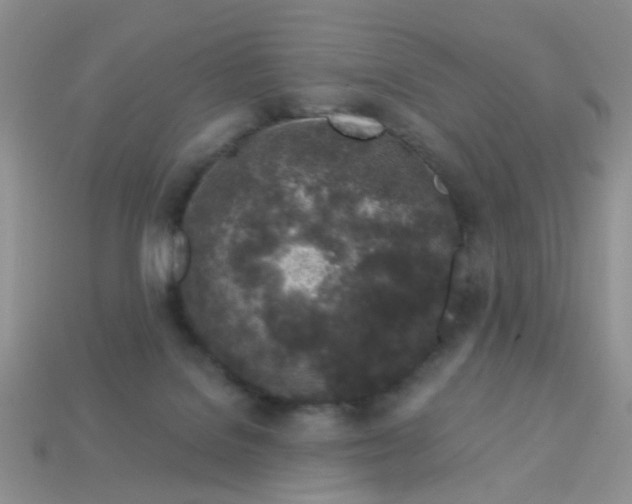 X0000113020076200909101846