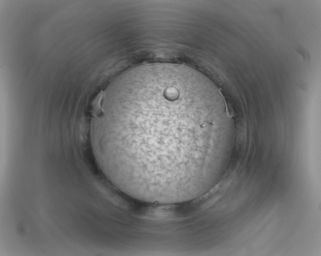 X0000113020078200909101846