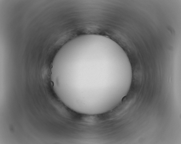 X0000113020079200909101846