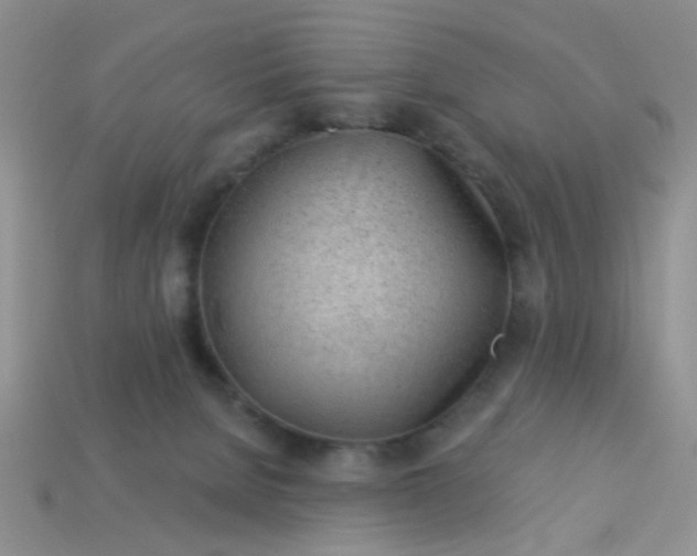 X0000113020080200909101846