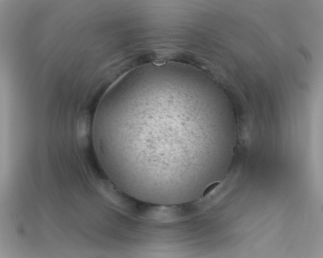 X0000113020082200909101846