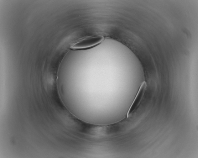 X0000113020084200909101846