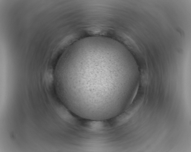 X0000113020085200909101846