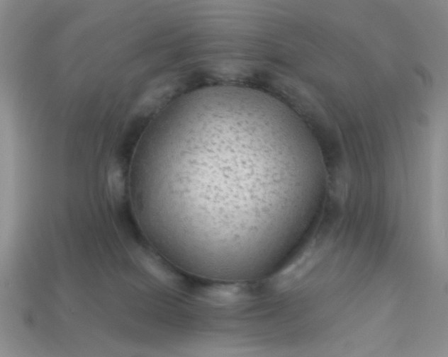 X0000113020086200909101846