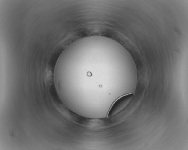 X0000113020087200909101846