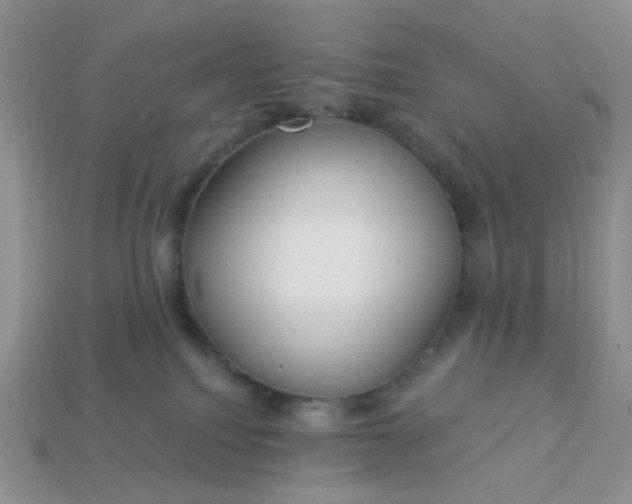 X0000113020088200909101846