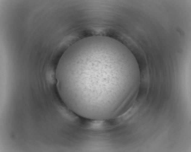 X0000113020090200909101846