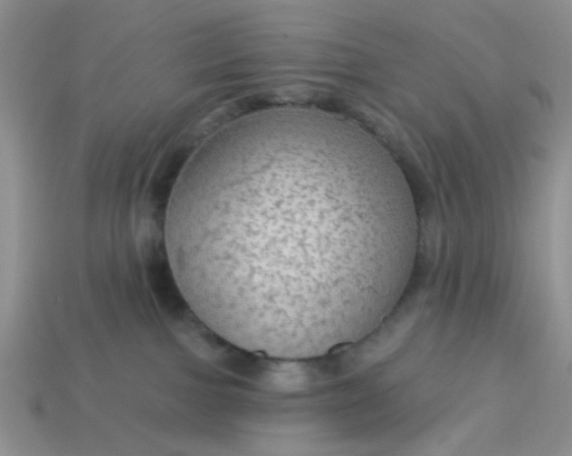 X0000113020091200909101846