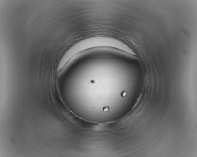 X0000113020092200909101846