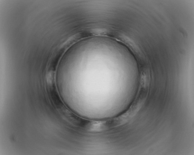 X0000113020093200909101846