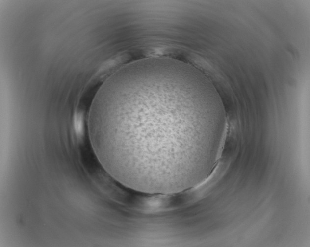 X0000113020094200909101846