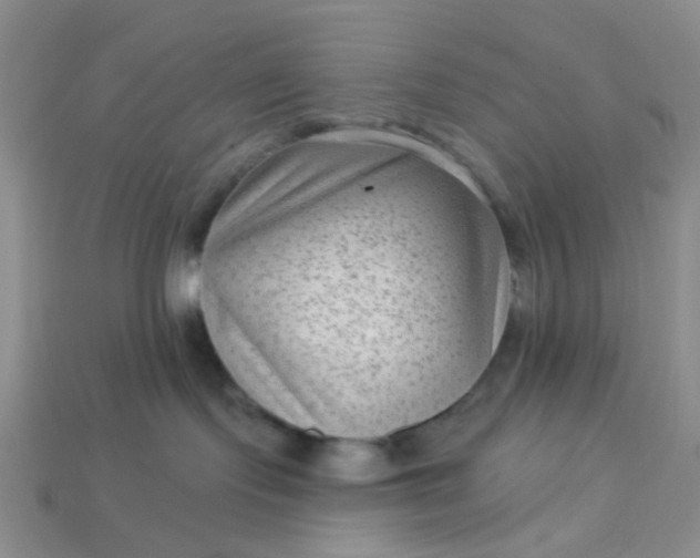 X0000113020095200909101846