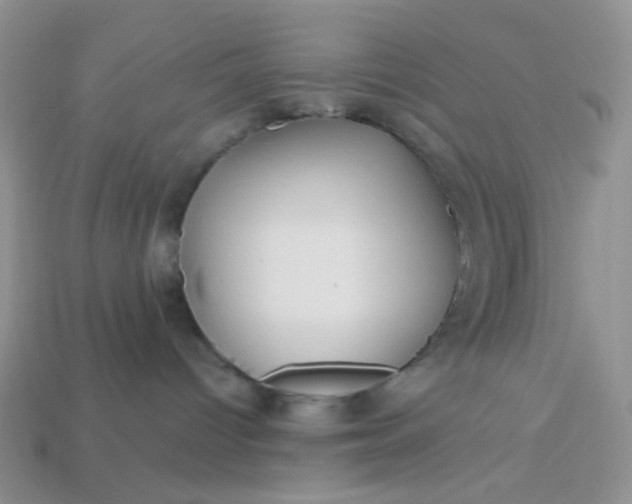 X0000113020096200909101846