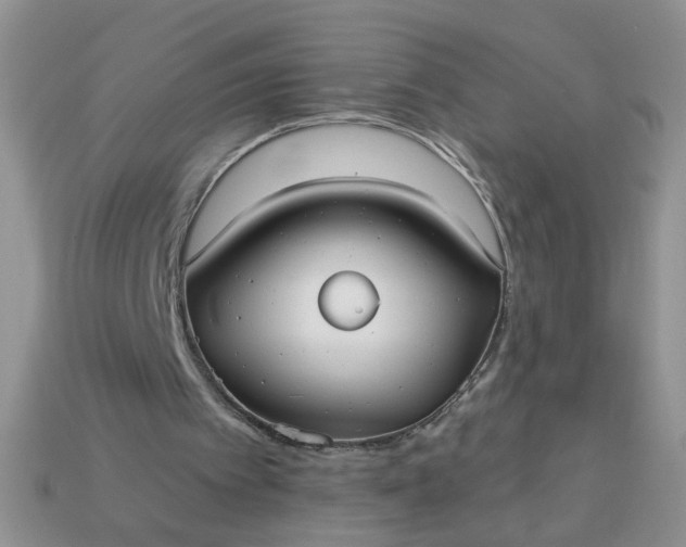 X0000113020097200909101845