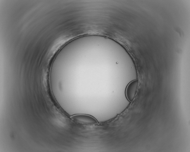 X0000113020098200909101845