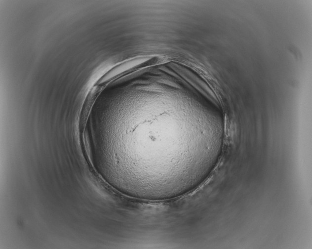 X0000113020099200909101845