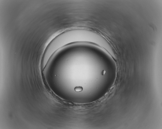 X0000113020100200909101845