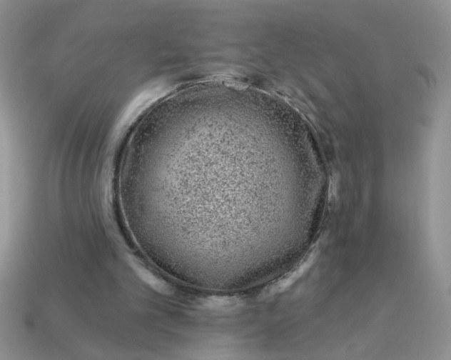 X0000113020101200909101845