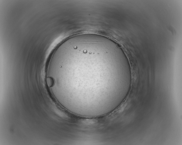 X0000113020102200909101845