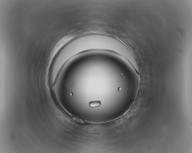 X0000113020104200909101845