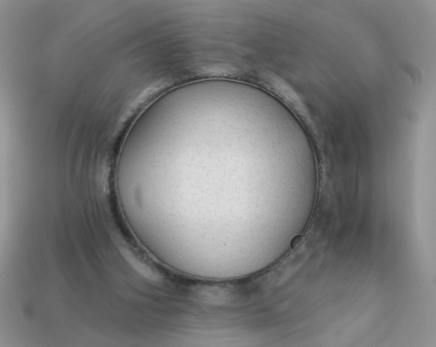 X0000113020106200909101845