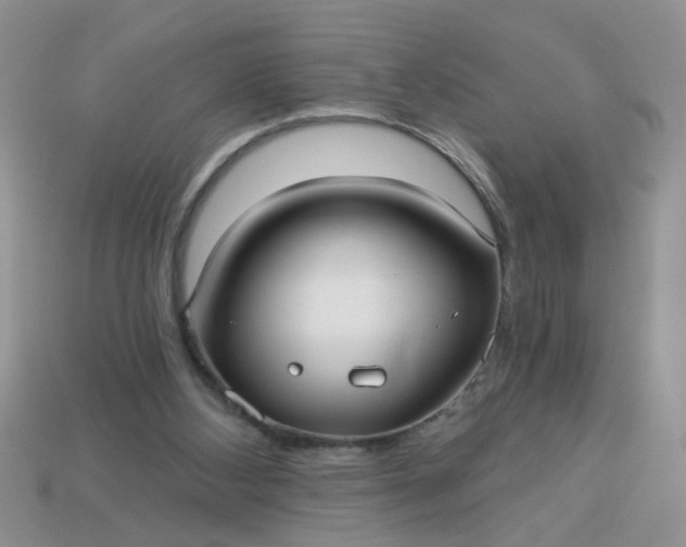 X0000113020108200909101845