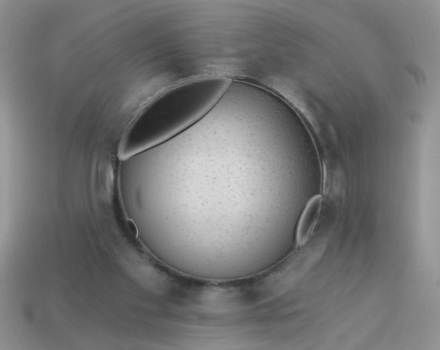 X0000113020109200909101845